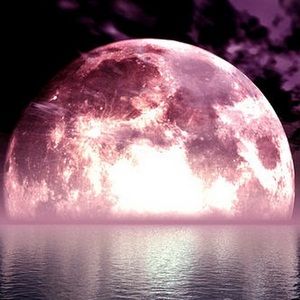 Meet your Posher, Mena